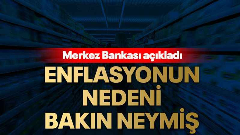 Enflasyonun nedeni bakın neymiş